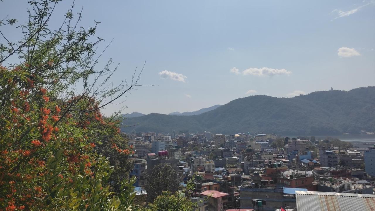 Peace Guesthouse Cottage Pokhara Exterior photo