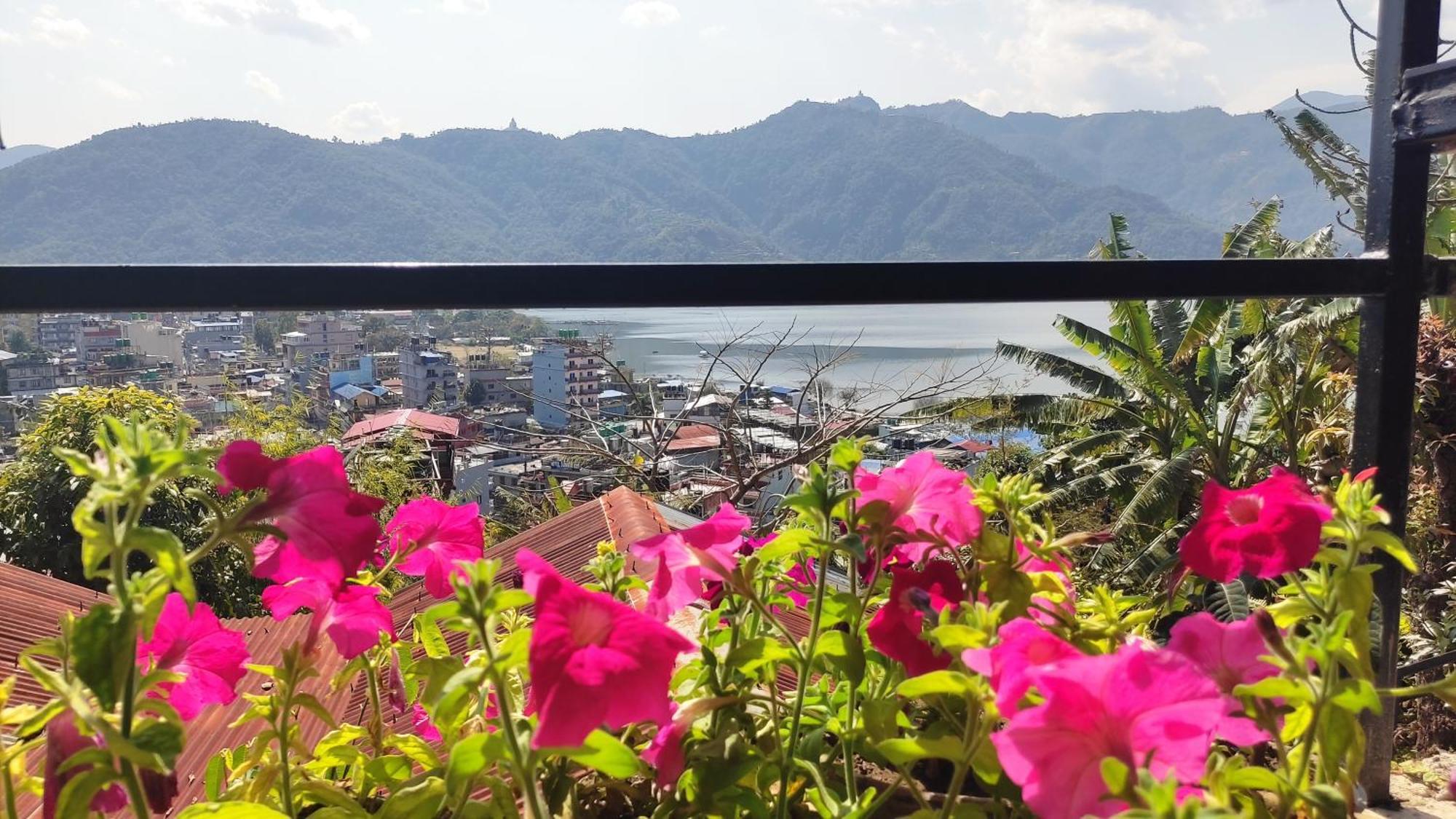 Peace Guesthouse Cottage Pokhara Exterior photo