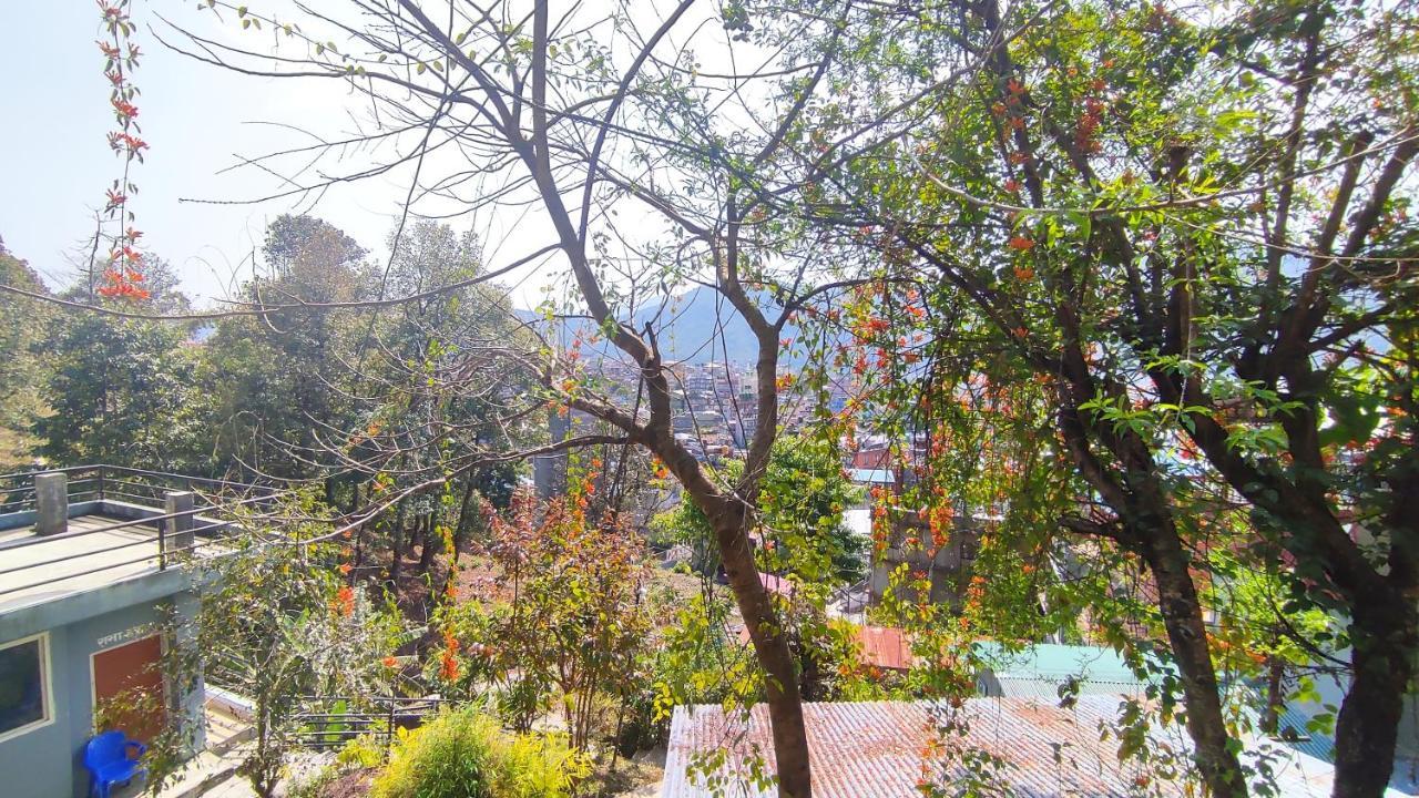 Peace Guesthouse Cottage Pokhara Exterior photo